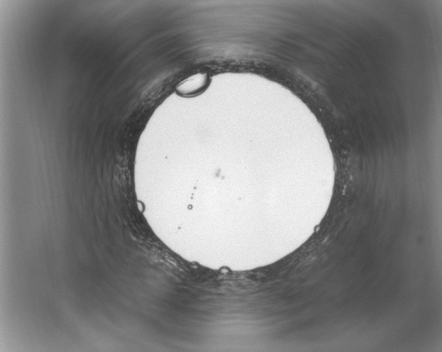 X0000064730918200603031637