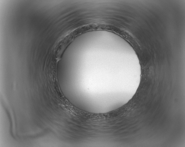 X0000064730919200603031637