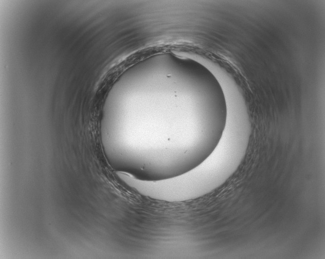 X0000064730920200603031637