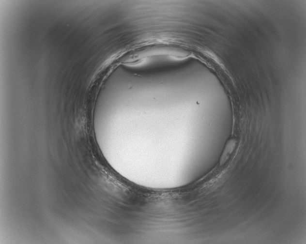 X0000064730922200603031638