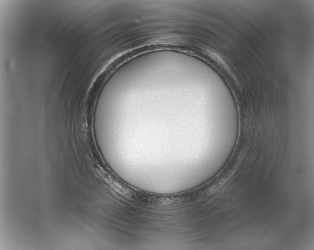 X0000064730923200603031638