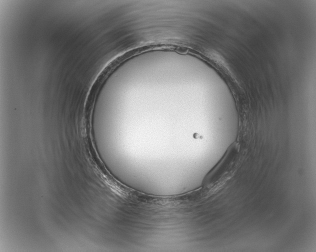 X0000064730924200603031638