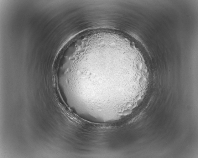 X0000064730925200603031638