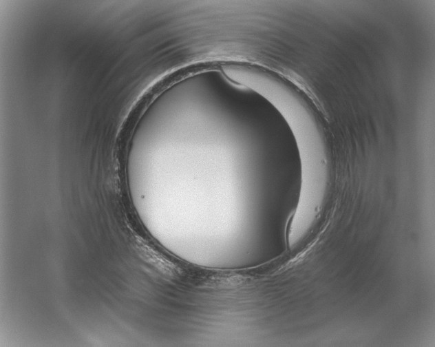 X0000064730926200603031638