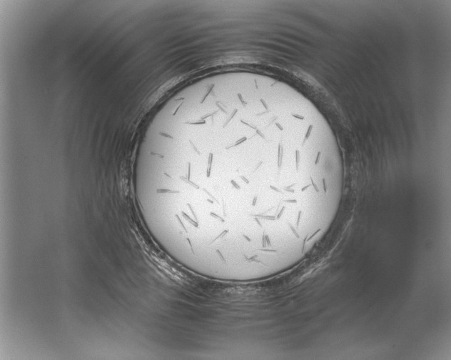 X0000064730929200603031638