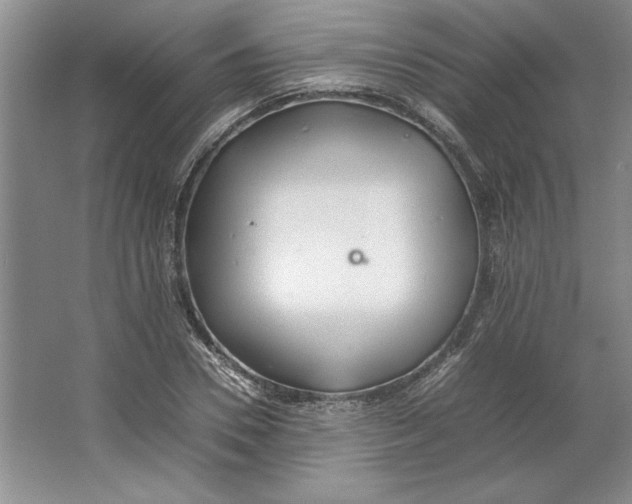 X0000064730930200603031638