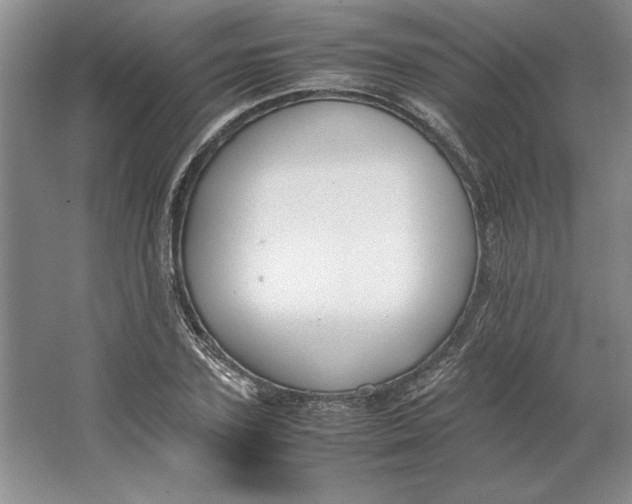 X0000064730931200603031638