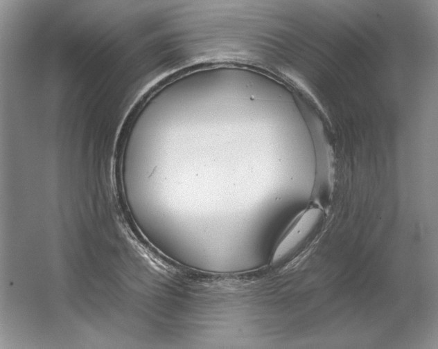 X0000064730932200603031638