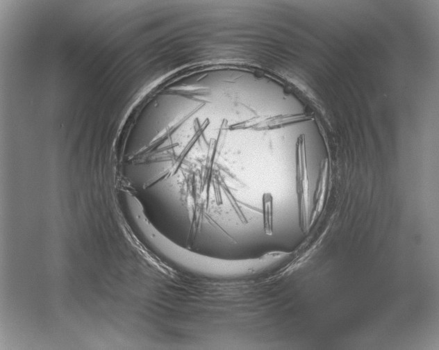 X0000064730933200603031638