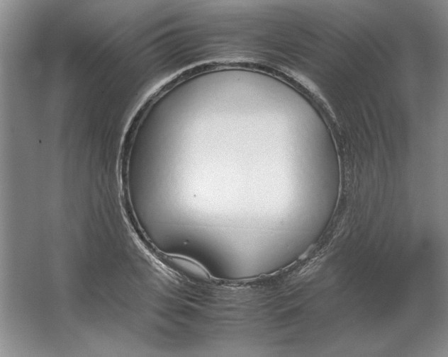 X0000064730935200603031638