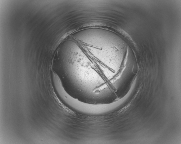 X0000064730937200603031638