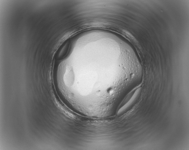 X0000064730938200603031638