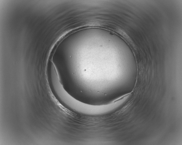 X0000064730939200603031638