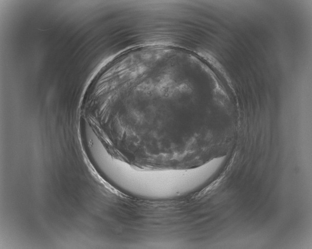 X0000064730941200603031638