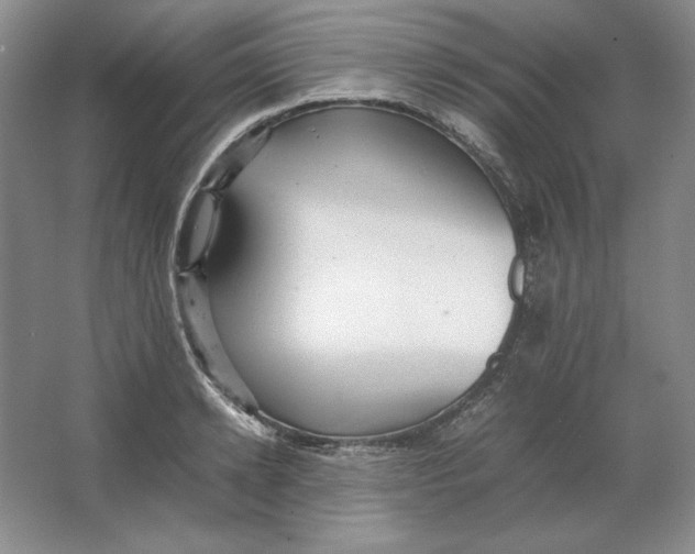 X0000064730942200603031638