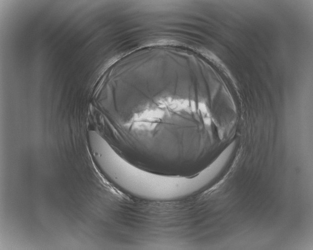 X0000064730945200603031638