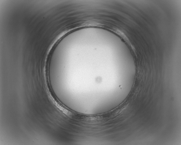 X0000064730947200603031638