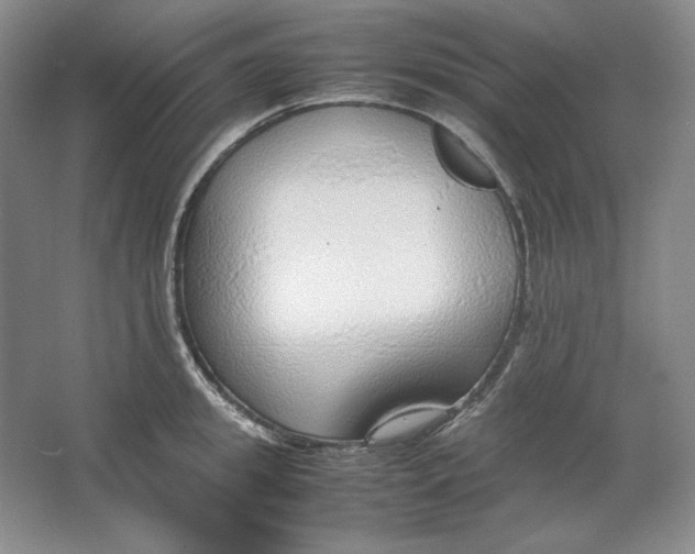 X0000064730949200603031638