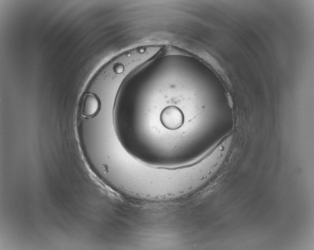 X0000064730950200603031638