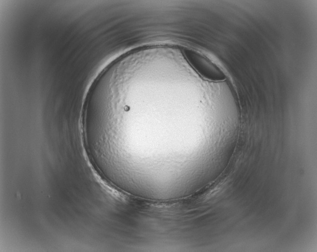 X0000064730951200603031638