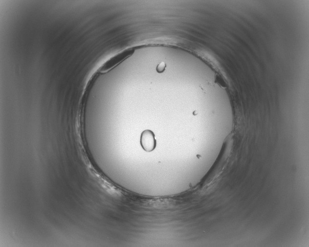 X0000064730952200603031638