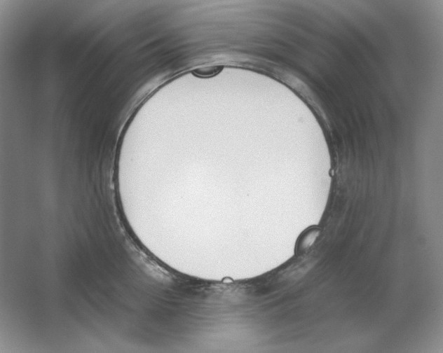 X0000064730954200603031638