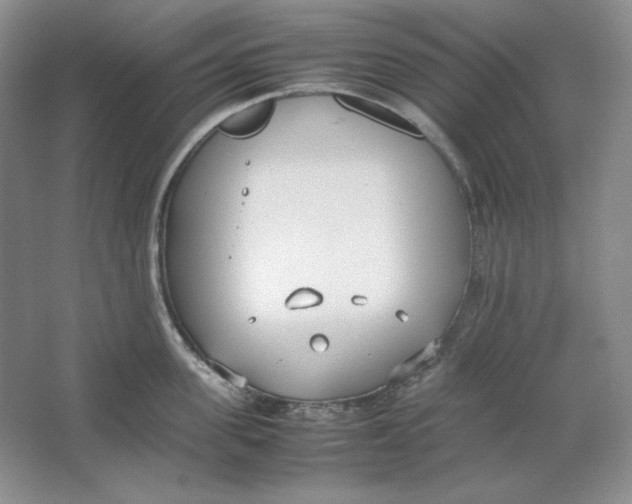 X0000064730955200603031638