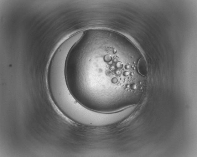 X0000064730957200603031638