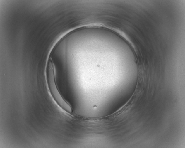 X0000064730959200603031638