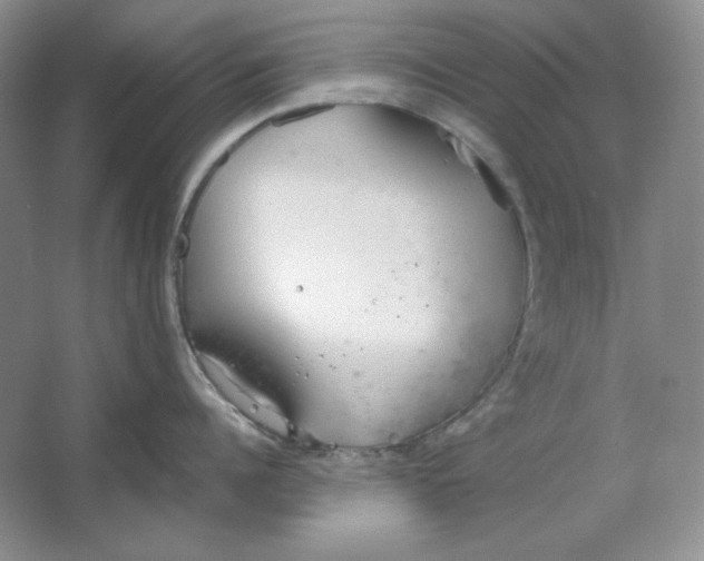 X0000064730960200603031638