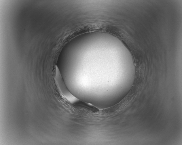 X0000064730961200603031637