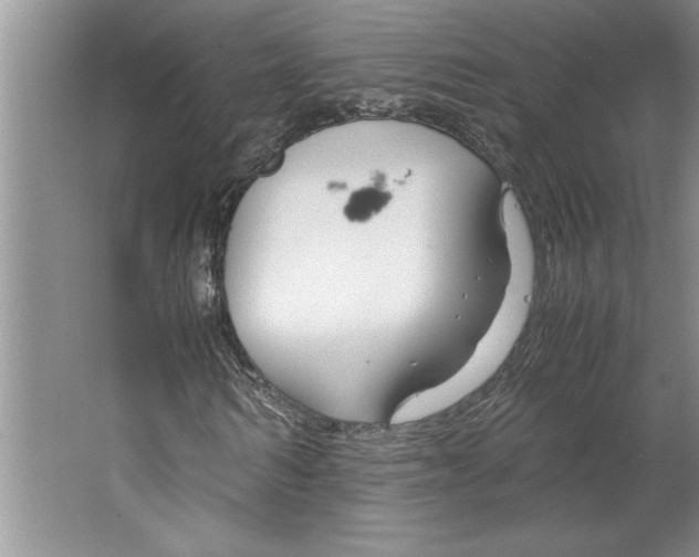 X0000064730962200603031637