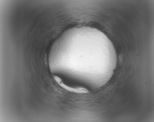 X0000064730963200603031637