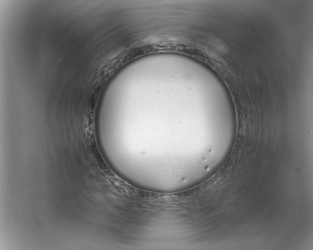 X0000064730966200603031637