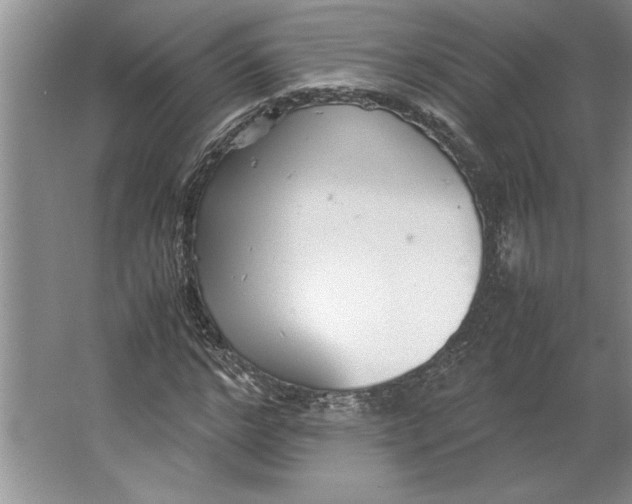 X0000064730968200603031637