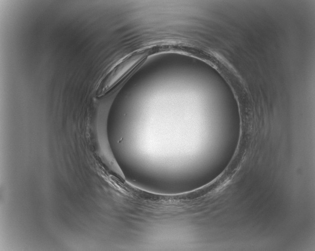 X0000064730969200603031637