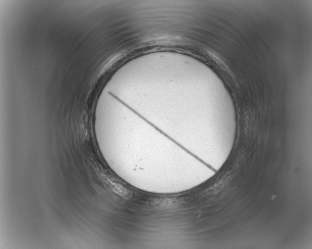 X0000064730970200603031637