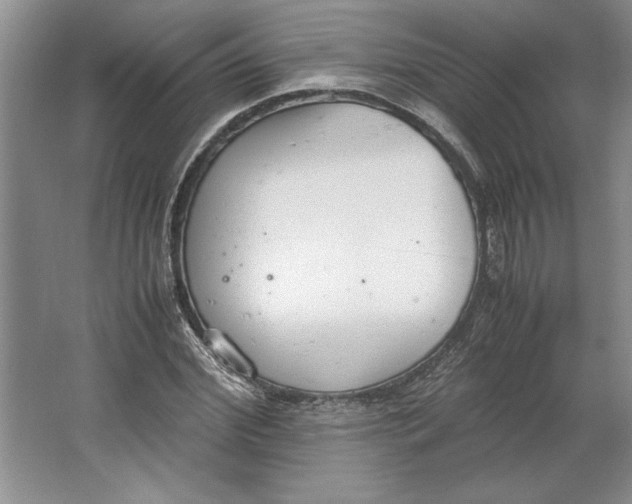 X0000064730972200603031637