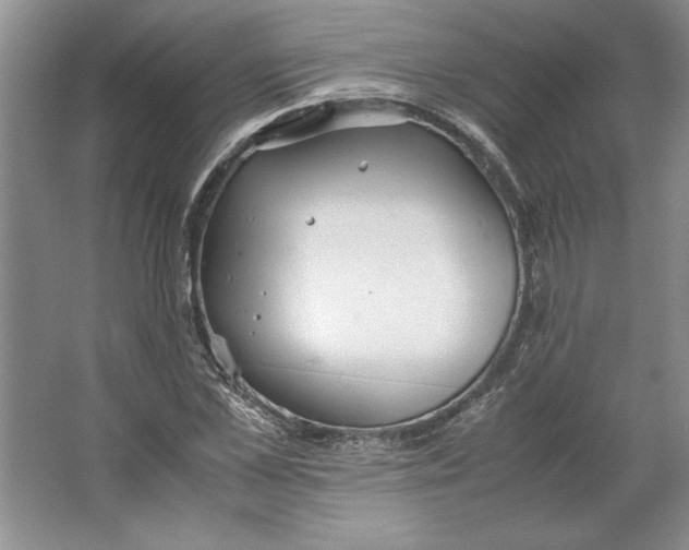 X0000064730973200603031637