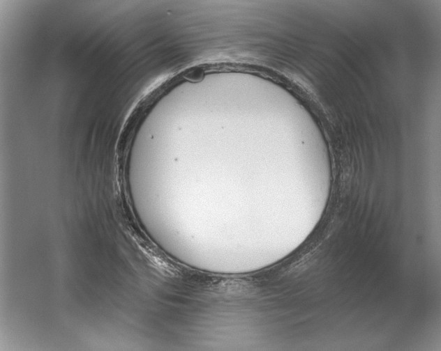 X0000064730974200603031637