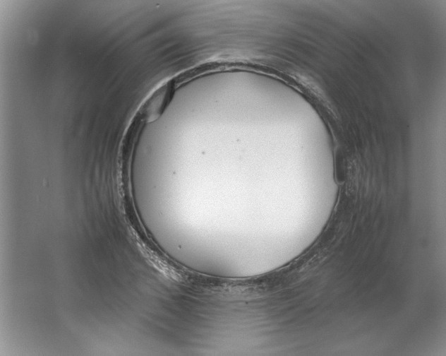 X0000064730976200603031637