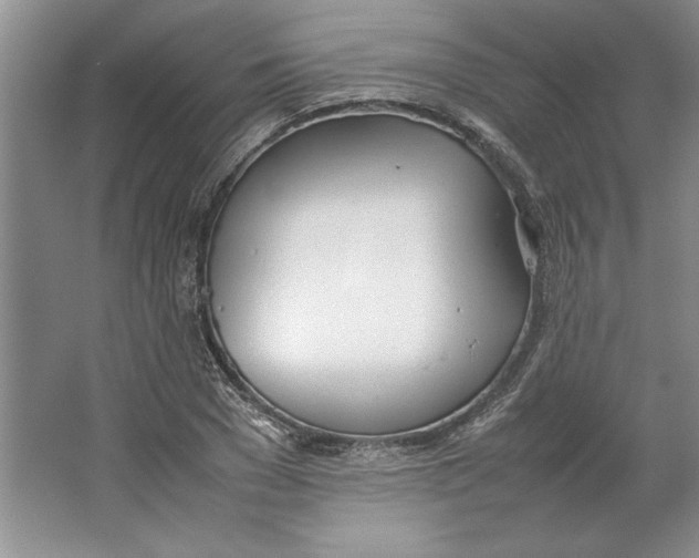 X0000064730977200603031637