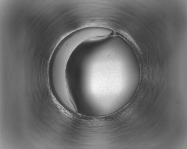 X0000064730980200603031637