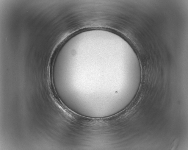 X0000064730982200603031637