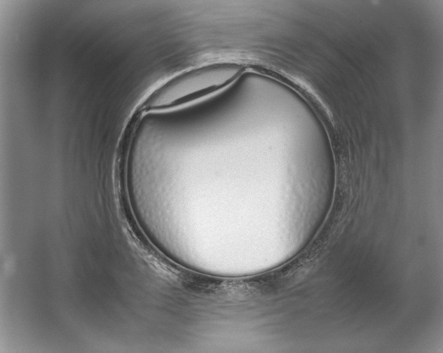 X0000064730983200603031637