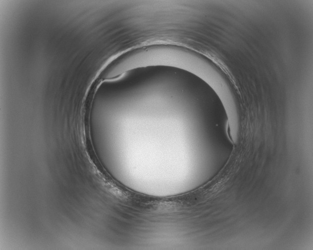 X0000064730984200603031637