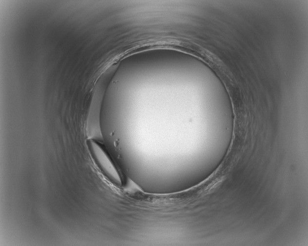 X0000064730985200603031637