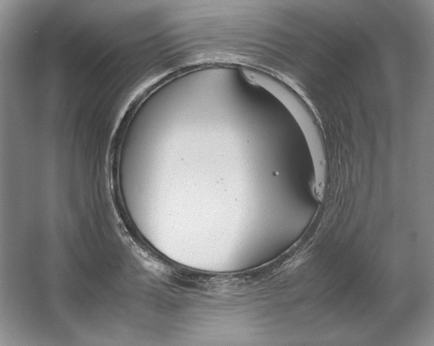 X0000064730987200603031637