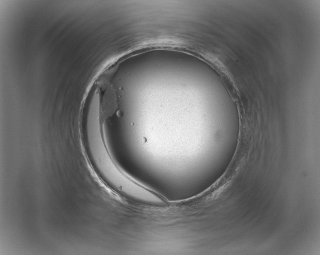 X0000064730989200603031637