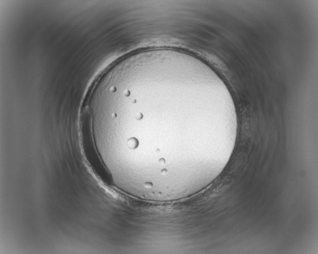 X0000064730990200603031637